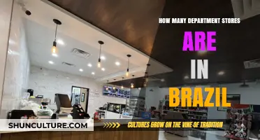 Exploring Brazil's Retail Landscape: Department Stores Count and Insights
