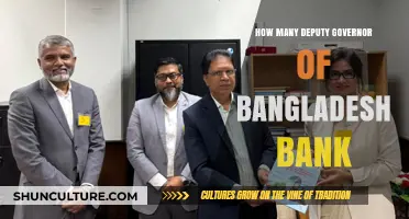 Exploring the Role and Number of Deputy Governors in Bangladesh Bank