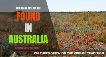 Exploring Australia's Unique Desert Regions: A Comprehensive Guide