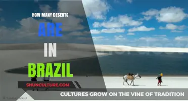 Exploring Brazil's Arid Wonders: Counting the Deserts in the Country
