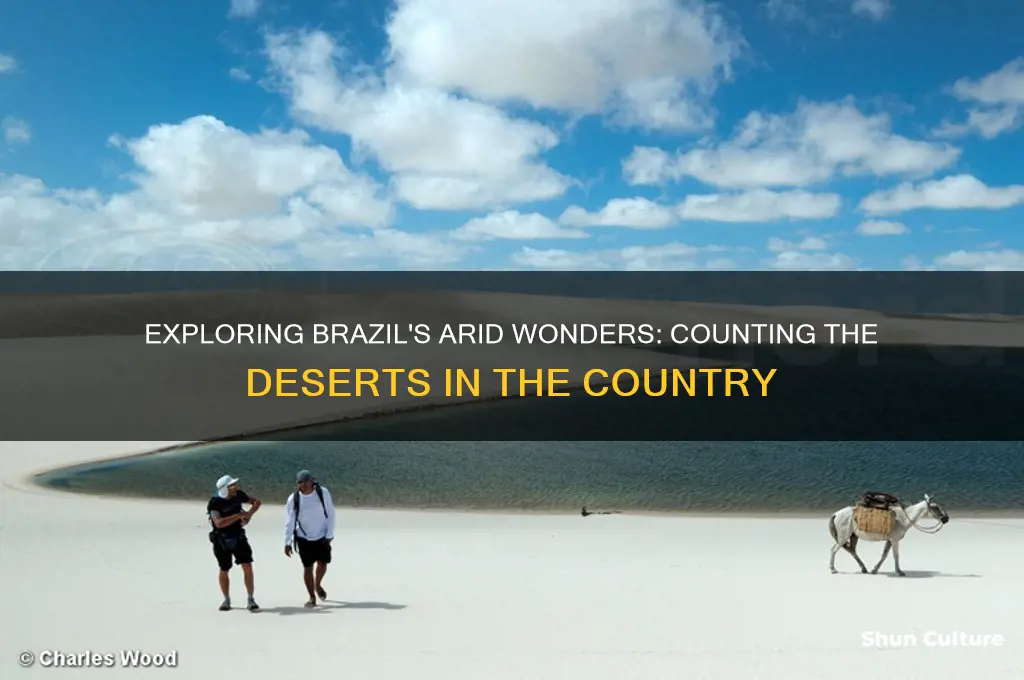 how many deserts are in brazil