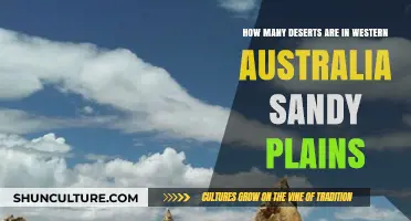 Exploring Western Australia's Sandy Deserts and Plains