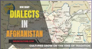 The Diverse Dialects of Afghanistan: Unraveling a Complex Linguistic Landscape