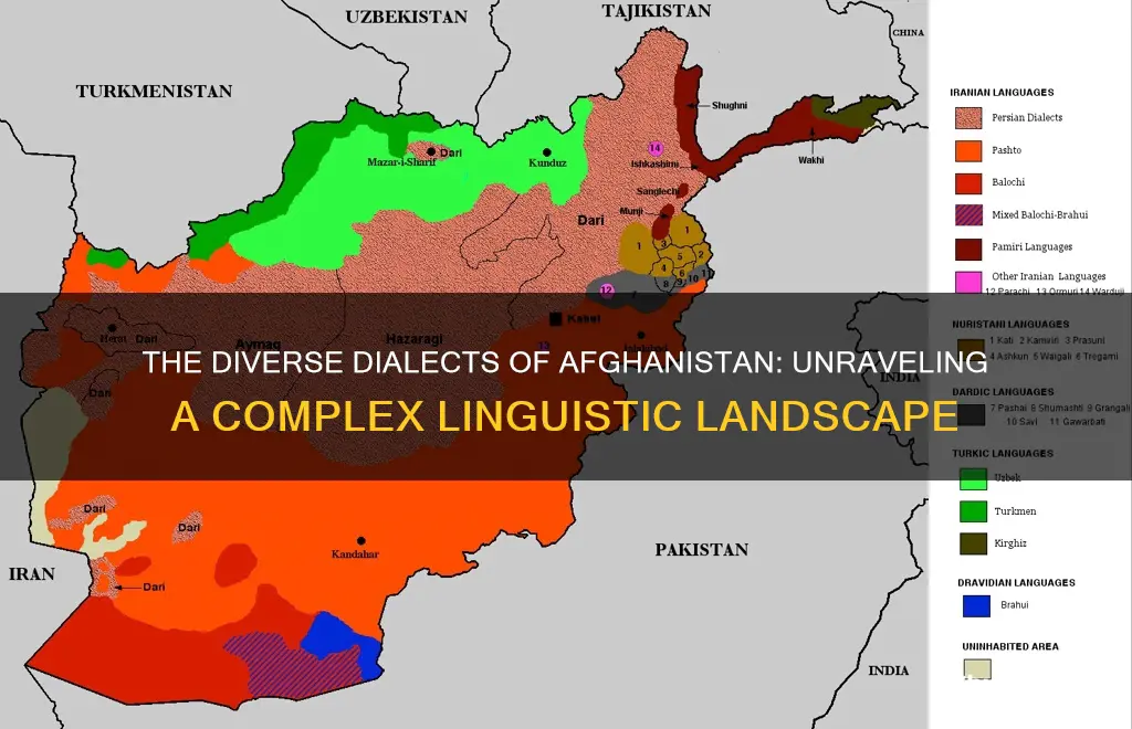 how many dialects in afghanistan