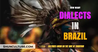 Exploring Brazil's Rich Linguistic Diversity: Dialects Across the Country