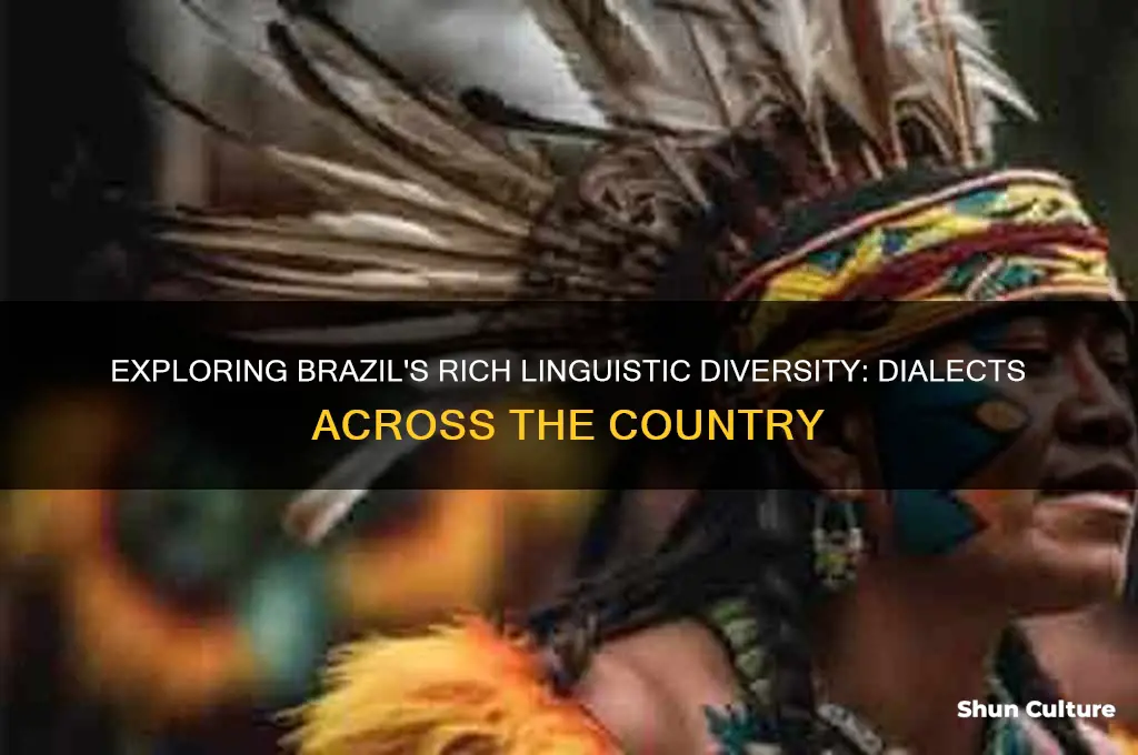 how many dialects in brazil