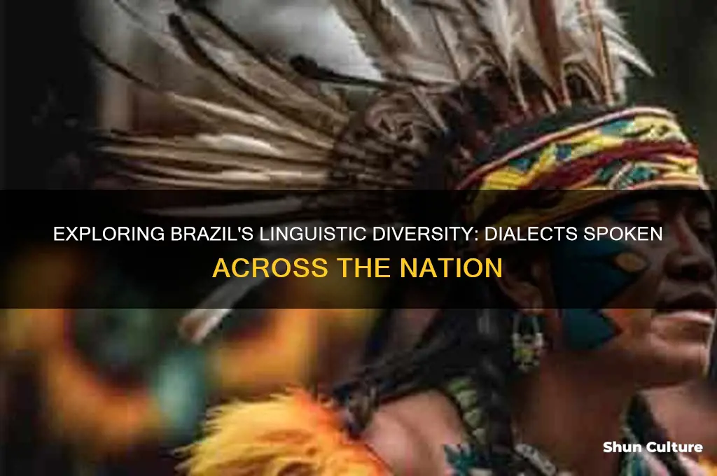 how many dialetos language speak in brazil