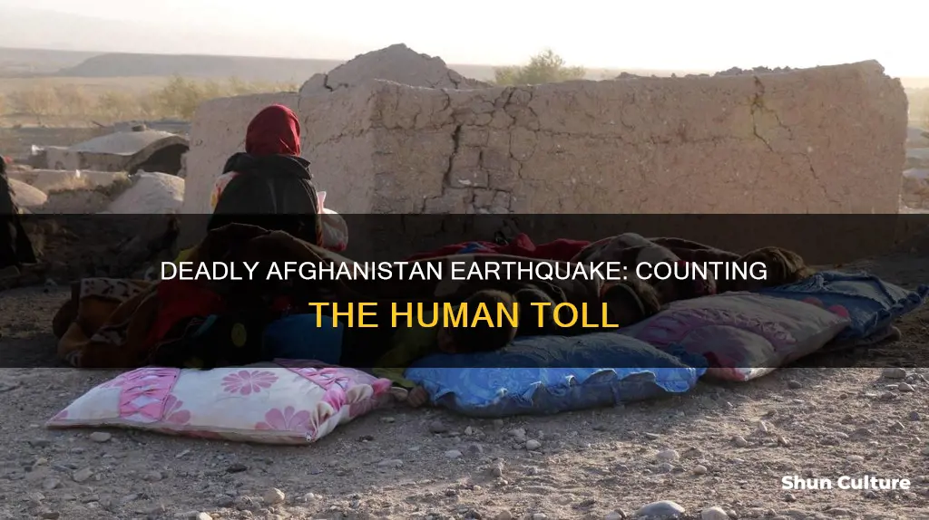 how many died in afghanistan earthquake