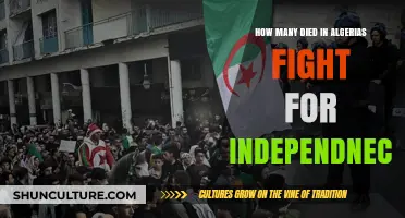 Algeria's Bloody Struggle: Uncovering the Human Cost of Independence