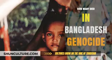 Bangladesh Genocide Death Toll: Uncovering the Tragic Human Cost
