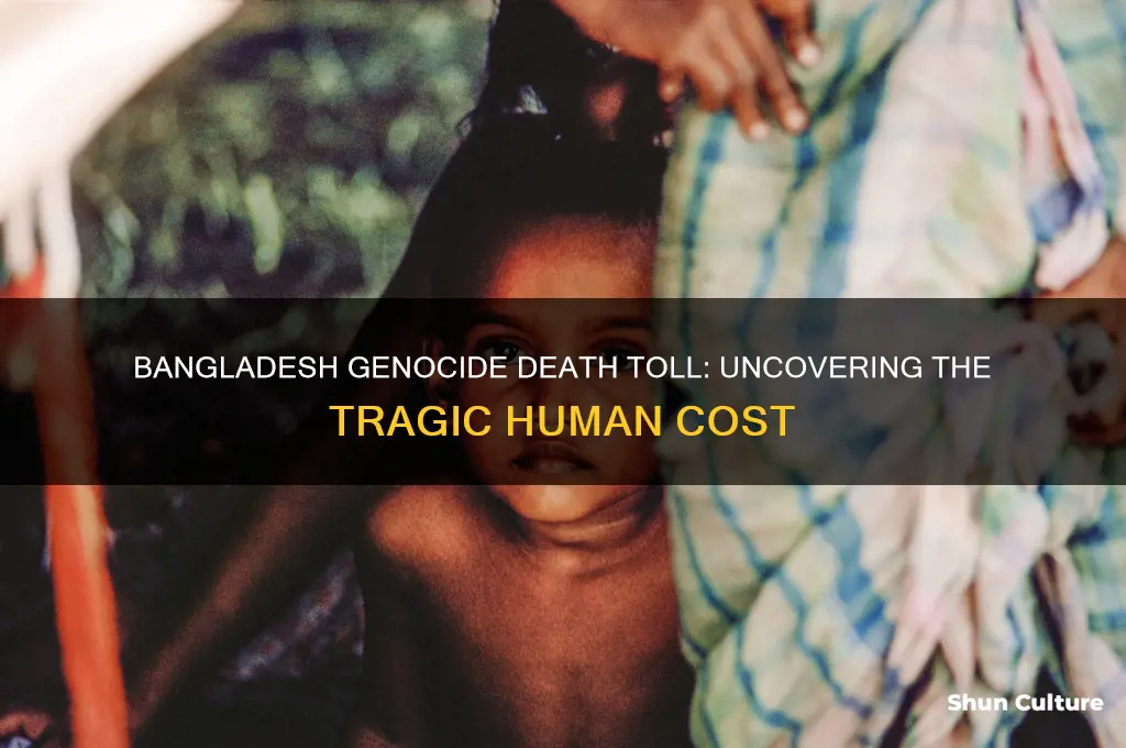 how many died in bangladesh genocide
