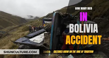 Bolivia Accident: Death Toll Rises