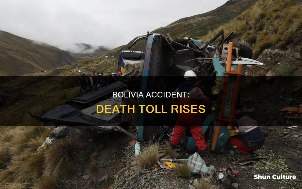 how many died in bolivia accident