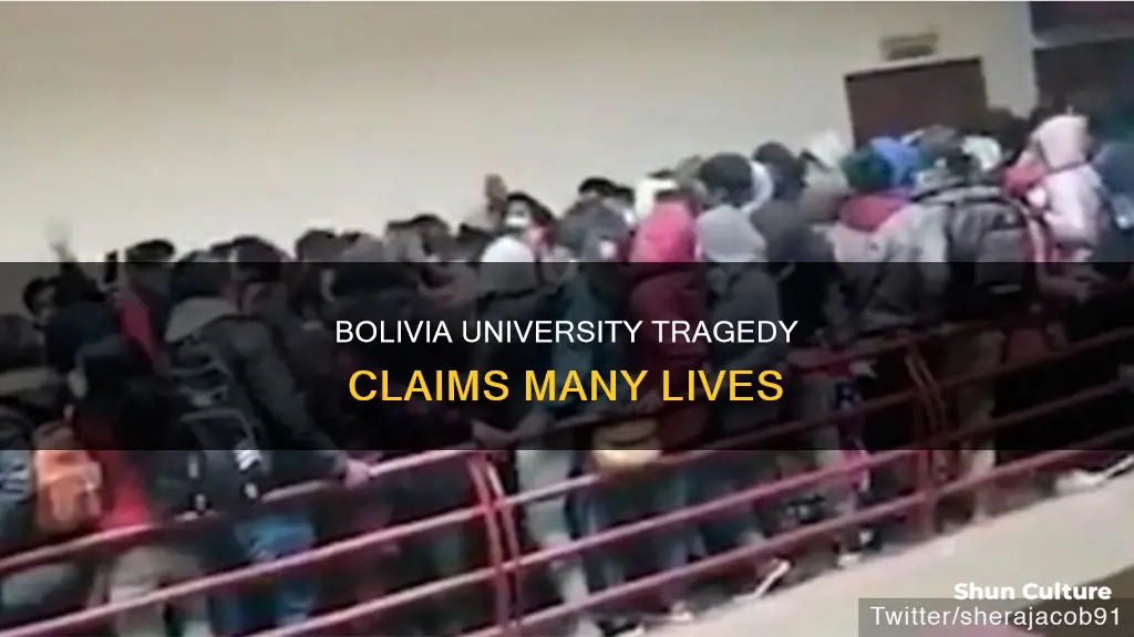 how many died in bolivia university