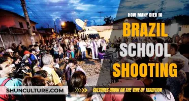 Brazil School Shooting Tragedy: Uncovering the Devastating Death Toll