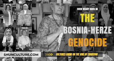 Bosnia-Herzegovina Genocide: Uncovering the Devastating Death Toll and Legacy