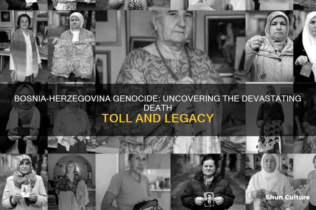 how many died in the bosnia-herzegovina genocide