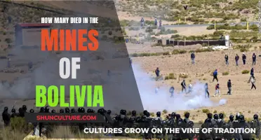 Deadly Mines of Bolivia: Counting the Lost Souls