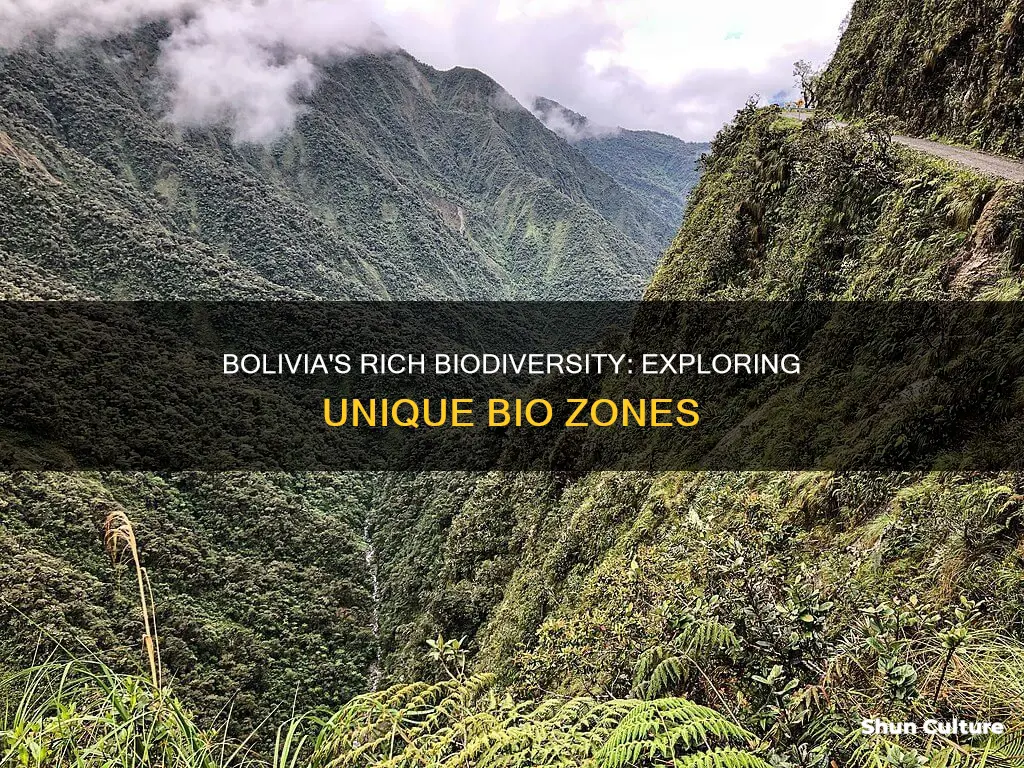 how many different bio zones are there in bolivia