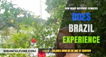 Exploring Brazil's Diverse Climates: From Tropical to Temperate Zones