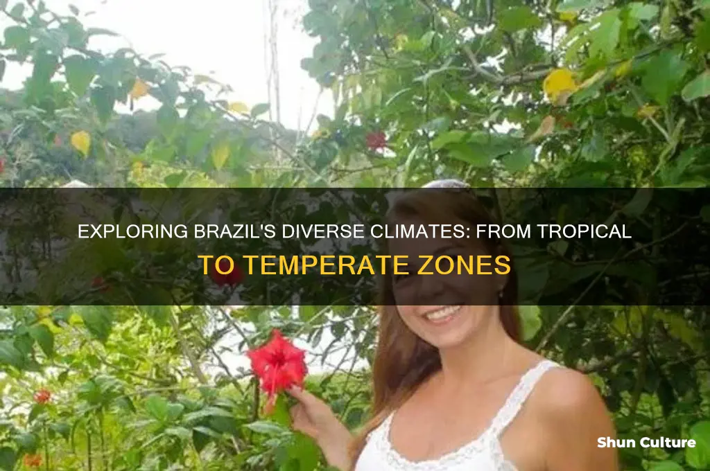 how many different climates does brazil experience