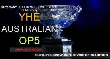 Tennis' Grand Tour: Players from How Many Countries?