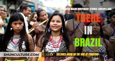 Exploring Brazil's Rich Cultural Mosaic: Ethnic Diversity Unveiled