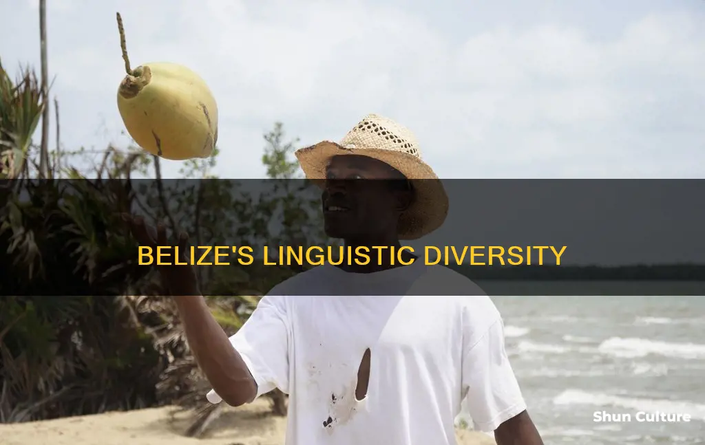 how many different languages are spoken in belize