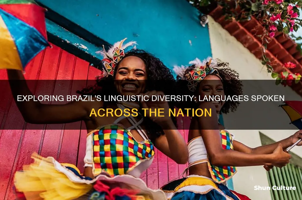how many different languages are spoken in brazil