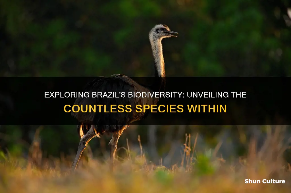 how many different species live in brazil