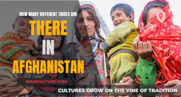 A Mosaic of Cultures: Exploring Afghanistan's Diverse Tribal Landscape