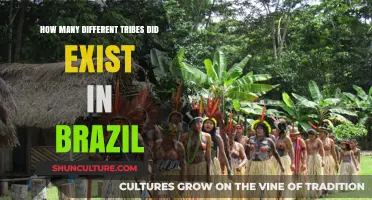 Exploring Brazil's Indigenous Diversity: A Historical Overview of Its Tribes