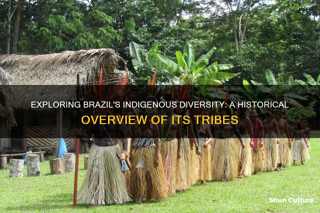 how many different tribes did exist in brazil