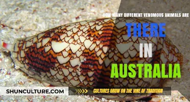 Venomous Creatures of Australia: A Comprehensive Guide