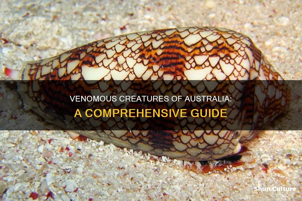 how many different venomous animals are there in australia