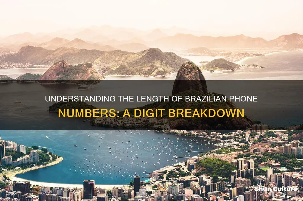 how many digit are there in a brazil phone number