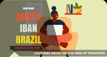 Understanding IBAN Digits in Brazil: A Comprehensive Guide for Users