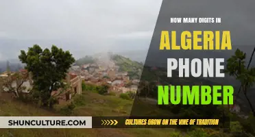 Understanding Algeria's Phone Number Format: Digits and Structure Explained