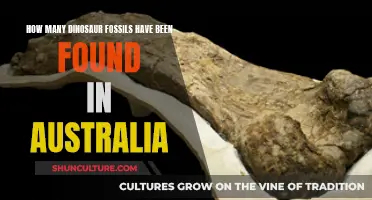 Exploring Australia's Dinosaur Fossil Discoveries