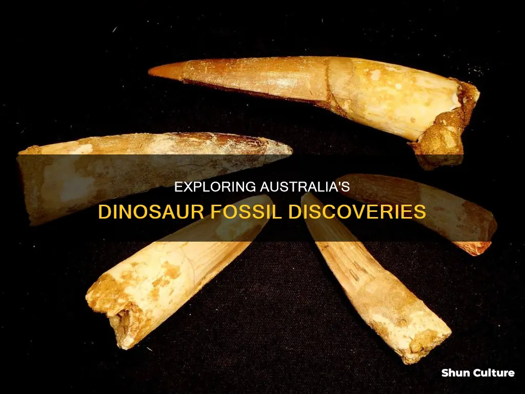 how many dinosaur fossils have been found in australia