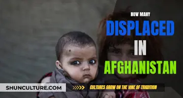 Crisis in Afghanistan: A Nation of Displacement