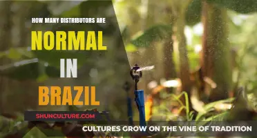 Understanding the Standard Number of Distributors Operating in Brazil