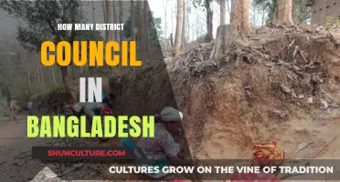 Exploring Bangladesh's District Council Structure: Count and Overview