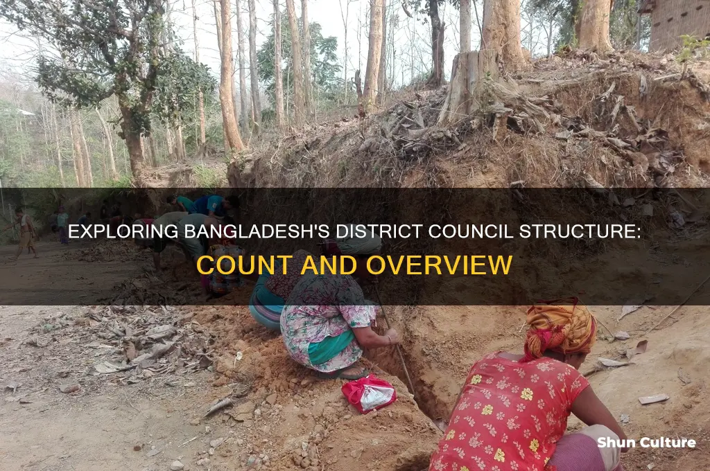 how many district council in bangladesh