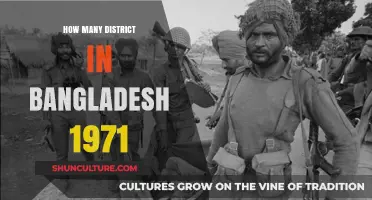 Exploring Bangladesh's Administrative Divisions During the Historic 1971 War