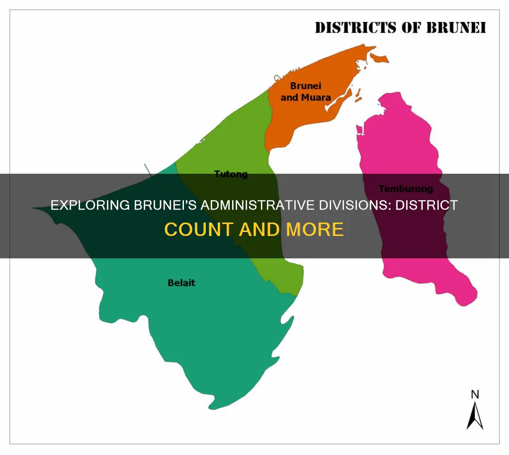 how many districts are in brunei