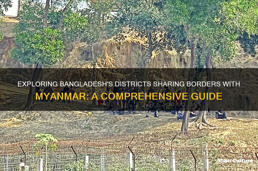 how many districts of bangladesh have borders with myanmar
