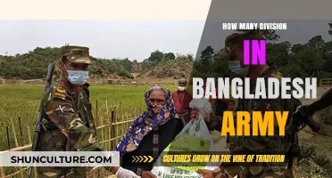 Understanding the Organizational Structure of Bangladesh Army Divisions