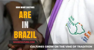 Exploring Brazil's Healthcare Workforce: Doctor Count and Distribution