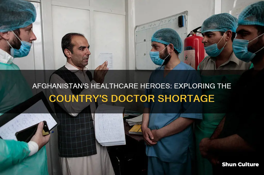 how many doctors are there in afghanistan